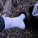 Nicholas Simms Photo 18