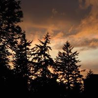 Terri Godbey Photo 1