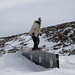 Guy Clements Photo 8