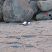 John Pangborn Photo 16