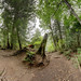 Douglas Trout Photo 5