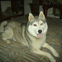 Lori Tabor Photo 5