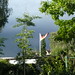 Andrea Michalek Photo 6