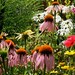 Elisabeth Ward Photo 16