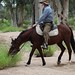 John Macdonnell Photo 14