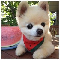 Rebecca Deng Photo 22