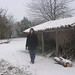 Theresa Woods Photo 20
