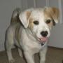 Jane Evans Photo 3