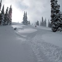 Eric Haskell Photo 27