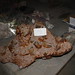 Crystal Samples Photo 8