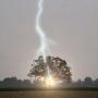Robin Rowe Photo 25