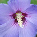 Sharon Burnham Photo 17