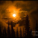 Helen Wolfe Photo 18