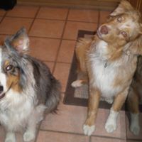 Susan Savoie Photo 6