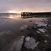 Gordon Swan Photo 8