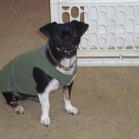 Connie Graham Photo 25