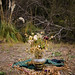 Debra Goldsmith Photo 12