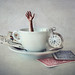 Alice Weiss Photo 16