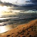 Sandy Curl Photo 3