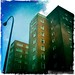 Steven Lew Photo 2