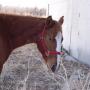 Nancy Burns Photo 6