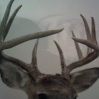 Scott Graham Photo 34