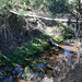 Victoria Morse Photo 21