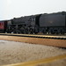 Brian Saunders Photo 37
