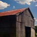 Dawn Grayson Photo 18