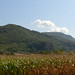 Frank Weeks Photo 17