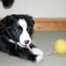 Jess Matlock Photo 19