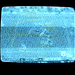 Patrick Lorentz Photo 4