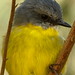 Robin Mines Photo 12