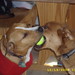 Roy Wiley Photo 17