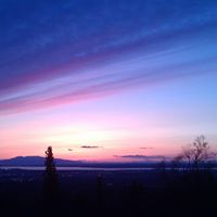 Phillip Elrod Photo 14