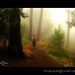 Toni Forest Photo 1