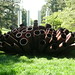 Steve Tobin Photo 28