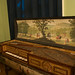 Cecilia Hall Photo 12