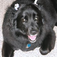 Judy Heyman Photo 8