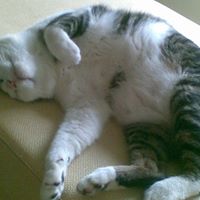 Hui Liao Photo 11