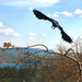 Heather Crow Photo 6