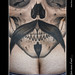 Thomas Neveu Photo 2