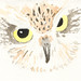 Harry Demeter Photo 6