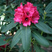 Eleanor Becker Photo 5