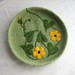 Susan Felts Photo 15