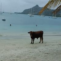 Kevin Samuels Photo 12