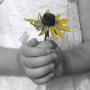 Julie Bray Photo 23