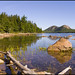Debbie Pond Photo 11