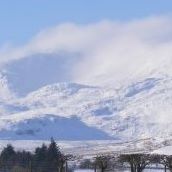 Mark Glynn Photo 17
