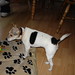 Tina Russell Photo 11